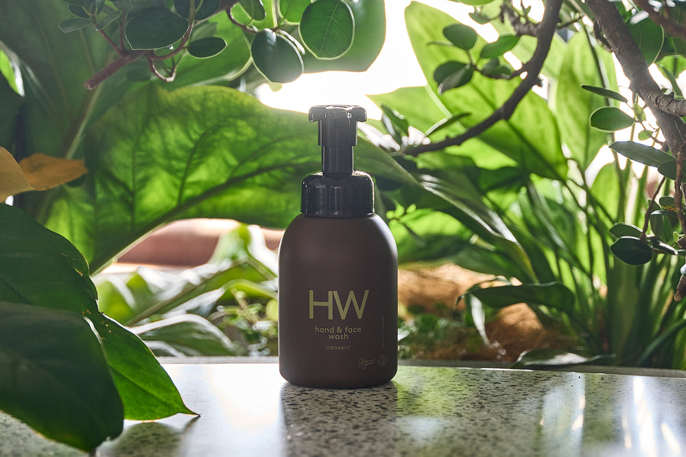 GREEN FOREST HAND&FACE WASH(森の香り)